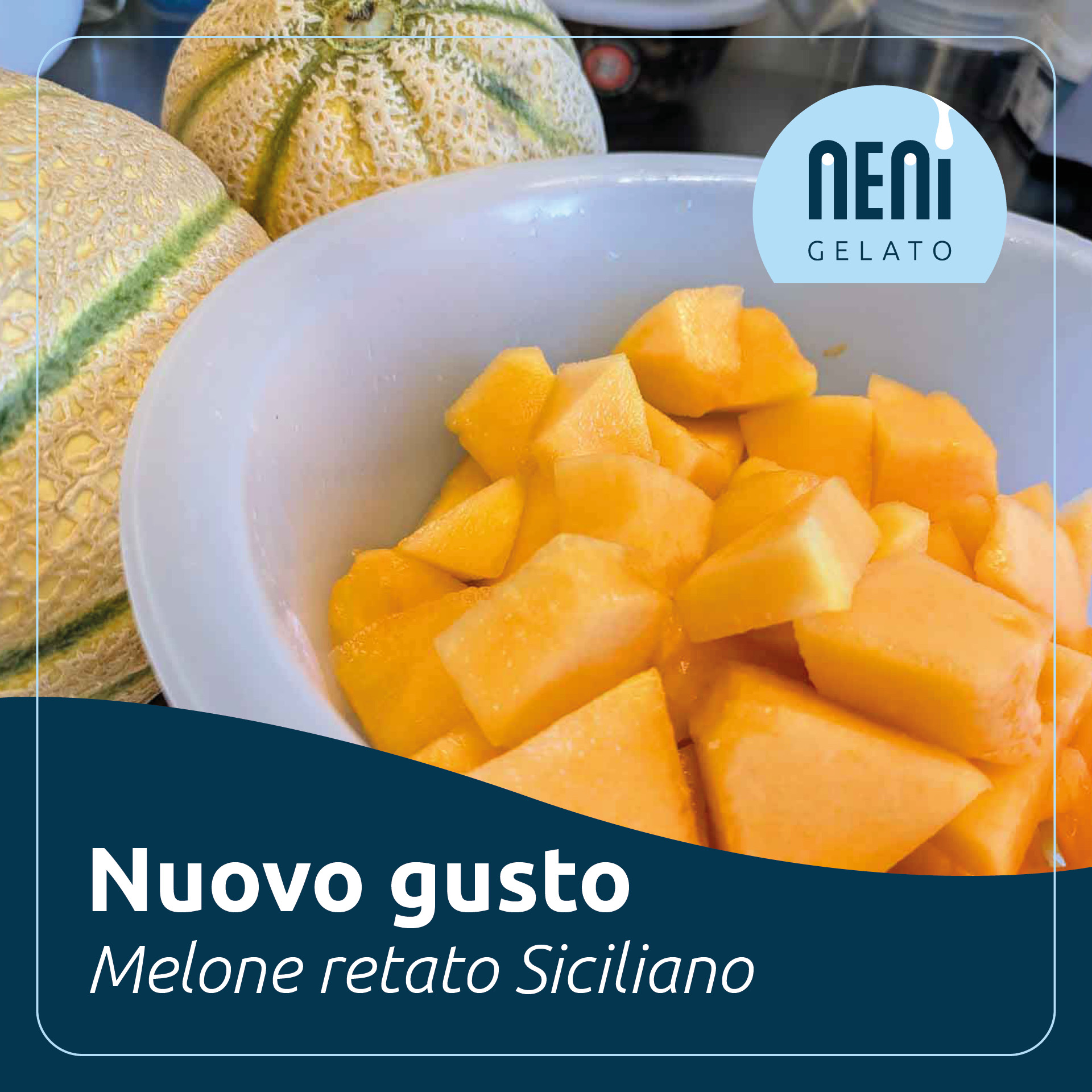 SOCIAL-melone